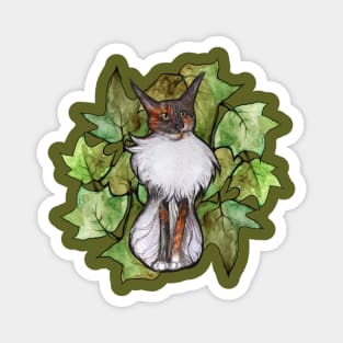 Maine Coon Ivy Magnet