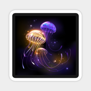 Three Glowing Jellyfish Magnet