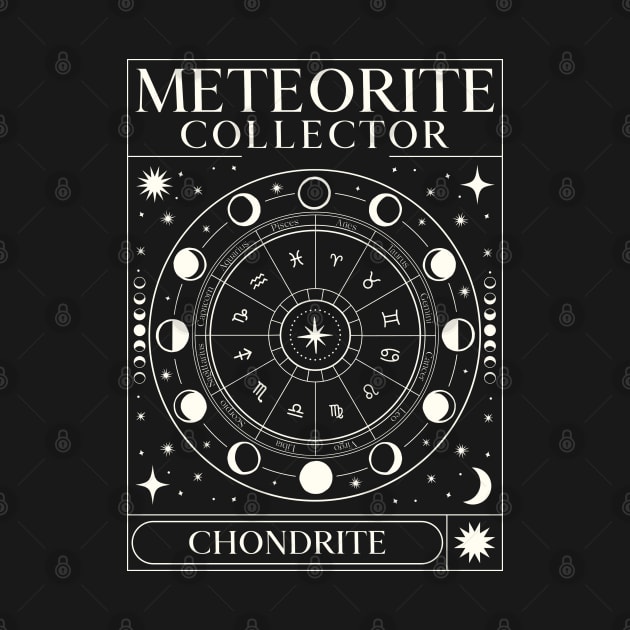 Meteorite Collector Chondrite Meteorite Meteorite by Meteorite Factory