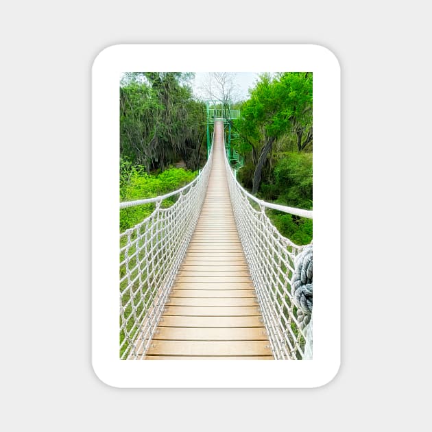 The Canopy Trail at Santa Ana Wildlife Refuge Magnet by Debra Martz