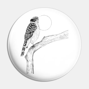 Laughing Falcon Bird Pin