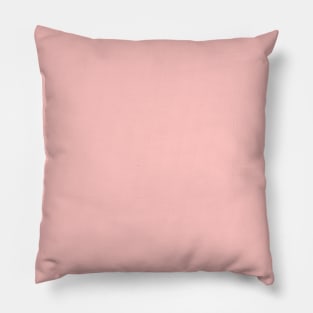 Gossamer Pink solid color Spring/Summer (2022) NYFW Pillow