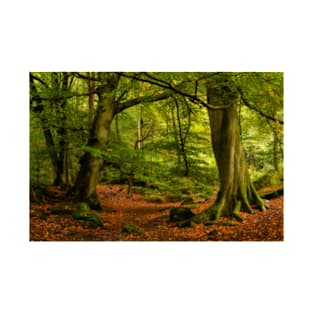 Padley Gorge Woodland T-Shirt