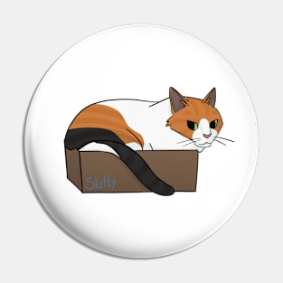 Cat in a Box Pin