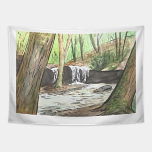 Debord Falls #2 Tapestry