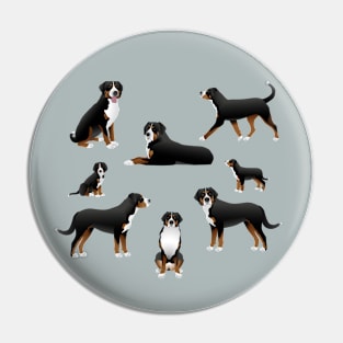 Sennenhund dog set Pin