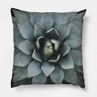 Green and grey plant in close up photography Pillow