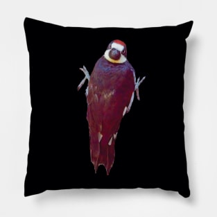 Acorn Woodpecker Looking Over It's Back Pillow