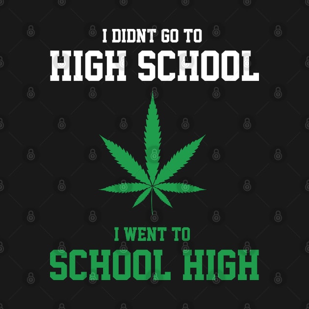 I didn't go to high school I went to school high by Dope 2