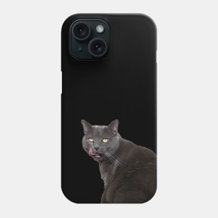 Russian Blue Cat Phone Case