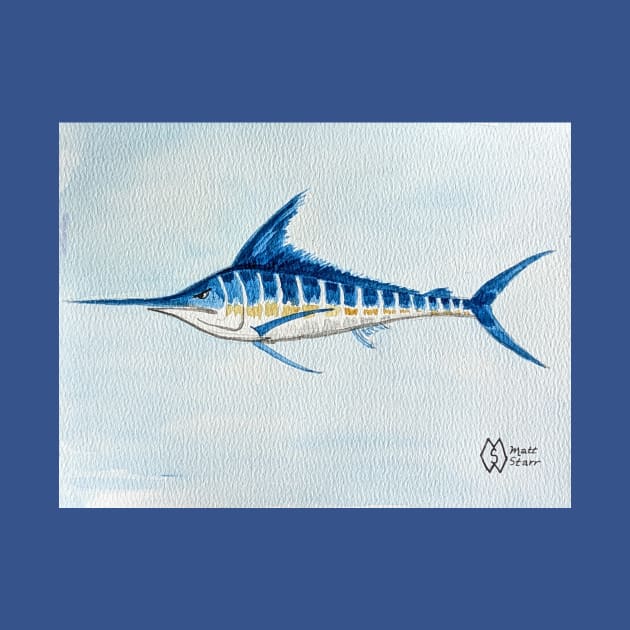 Marlin fish study by Matt Starr Fine Art