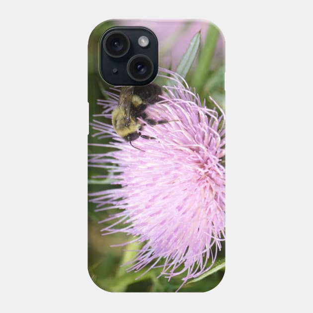 Bee on a Thistle Phone Case by Drgnfly4free