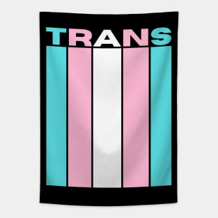 Trans Flag Tapestry