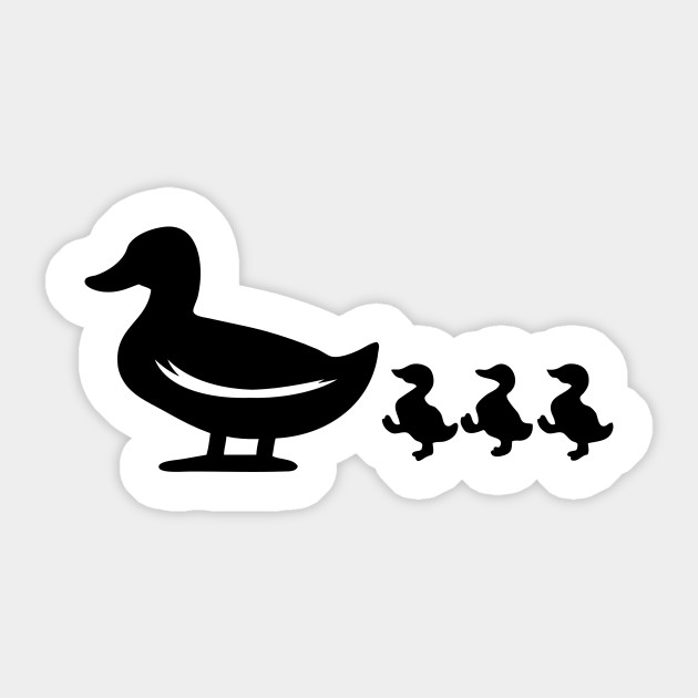Duck Ducklings