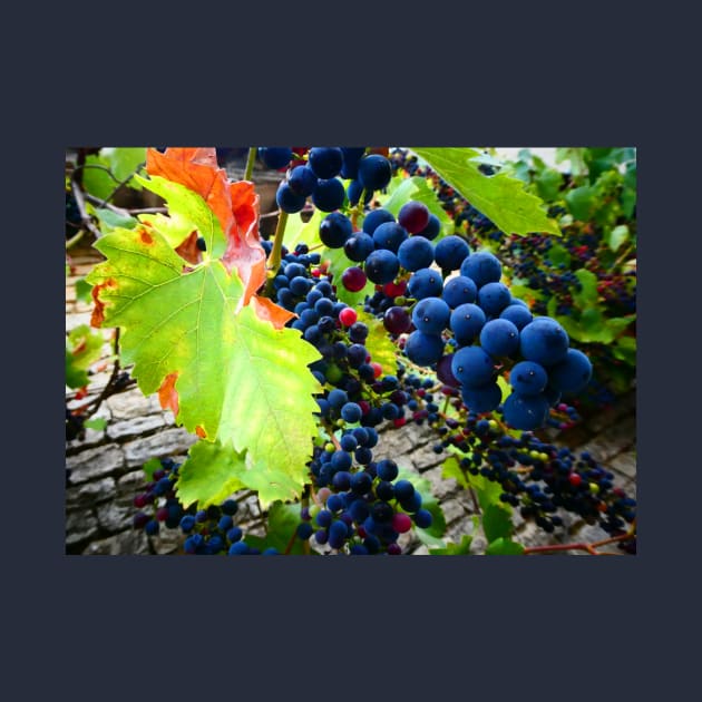 Grapes on the Street in France by JonDelorme