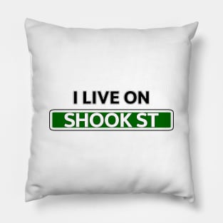 I live on Shook St Pillow