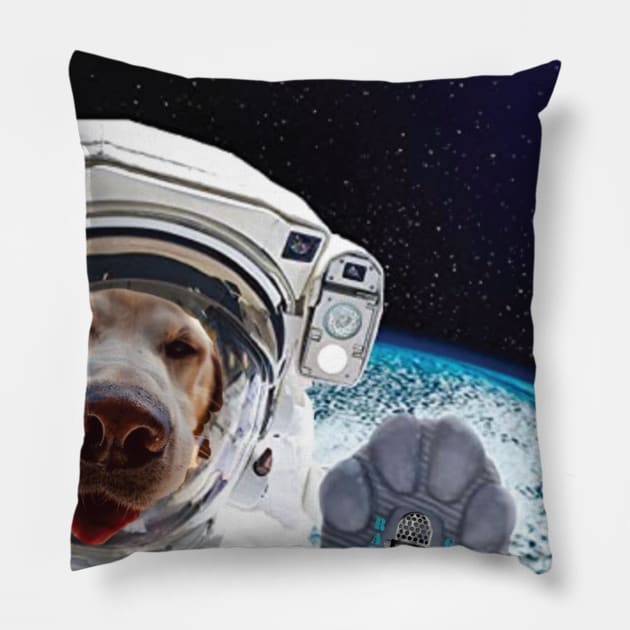 Space Reacher Pillow by RadioGunk1