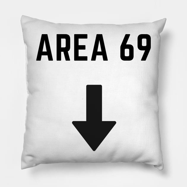 Area 69 Pillow by FataliPix