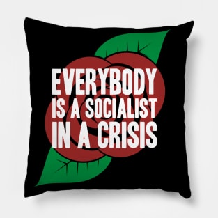 Everybody is a Socialist in a Crisis Pillow