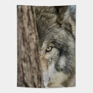 Timber Wolf - Closeup Tapestry