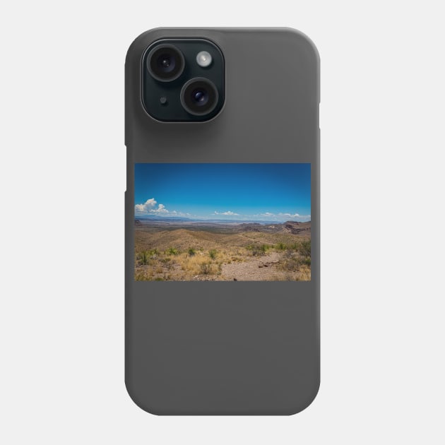 Sotol in the Chihuahuan Desert Phone Case by Gestalt Imagery