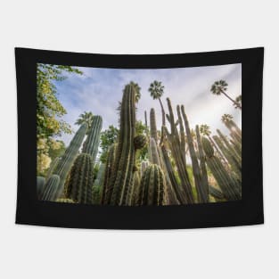 Cactus and tropical palms in Majorelle Garden Tapestry