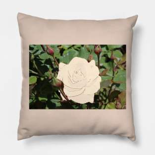 Two Mediums One Rose Pillow