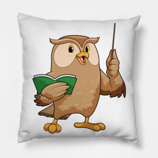 Owl as Teacher with Book & Pointer Pillow
