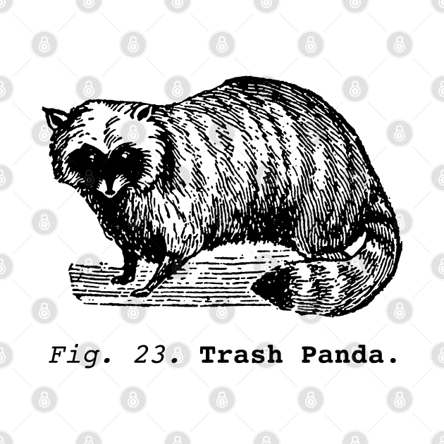 Trash Panda / Science Raccoon / black edition. Raccoon TShirt