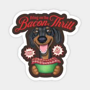 Cute Dachshund Bring on the Bacon Thrill Magnet