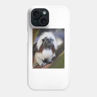 Cotton-top Tamarin Phone Case