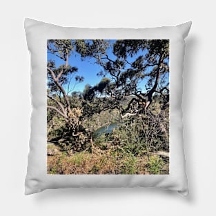 Nature in Bangor Pillow