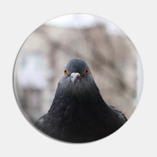 Pigeon Pin
