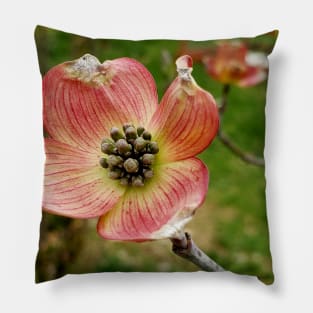 Lispe Pink Dogwood Flower Pillow