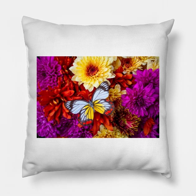 Multicolored Butterfly On Pom Bouquet Still Life Pillow by photogarry