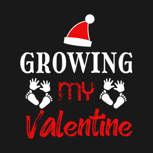 Growing My Valentine Valentines Day Gift Lovers-Relationship-valentine's day-Married-Kiss T-Shirt