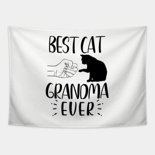 Best Cat Grandma Ever Funny Grandma Cat Lover Tapestry