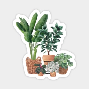 House Plants 10 Magnet