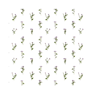 PRESSED FLOWERS - Chickweed Willowherb - Open T-Shirt