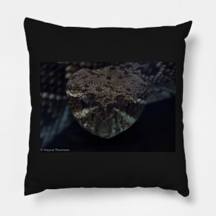 Snake In The Dark Pillow