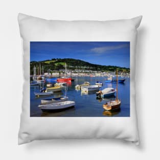 River Teign and Shaldon Pillow