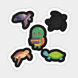 Turtles 5 pk Stickers Collection Magnet