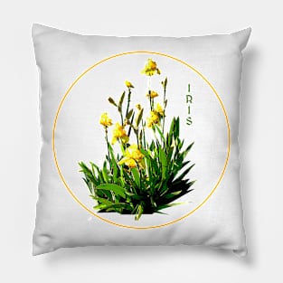 Flower Series  - Iris with transparent background Pillow