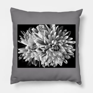 Dahlia in black and white Pillow