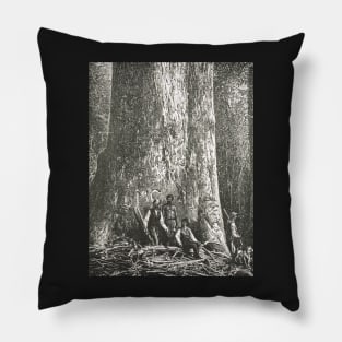 Big Ben, Giant tree, Victoria, Australia Pillow