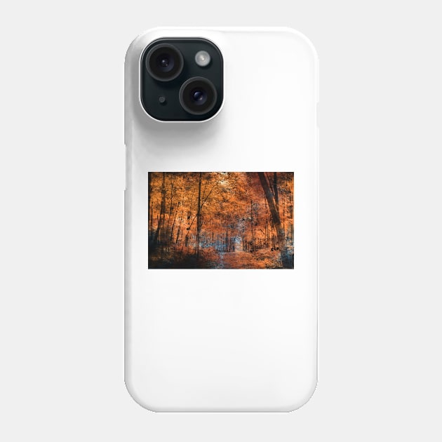 Artistry of the Forest Phone Case by bgaynor