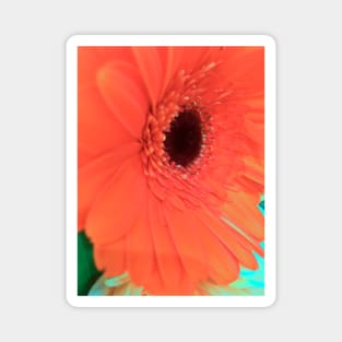 Orange Flower - Autumn Bouquet - Flowers Magnet