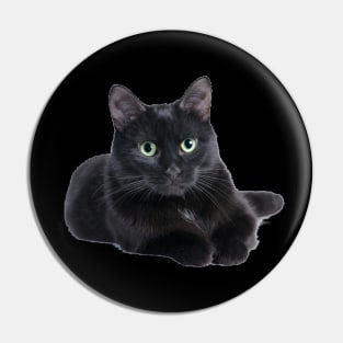 Lazy Cat Pin