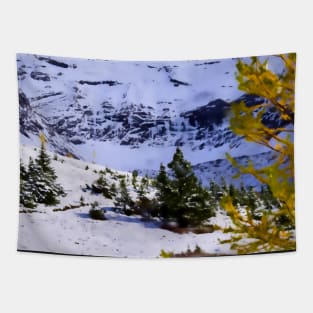 Ptarmigan Cirque. Tapestry