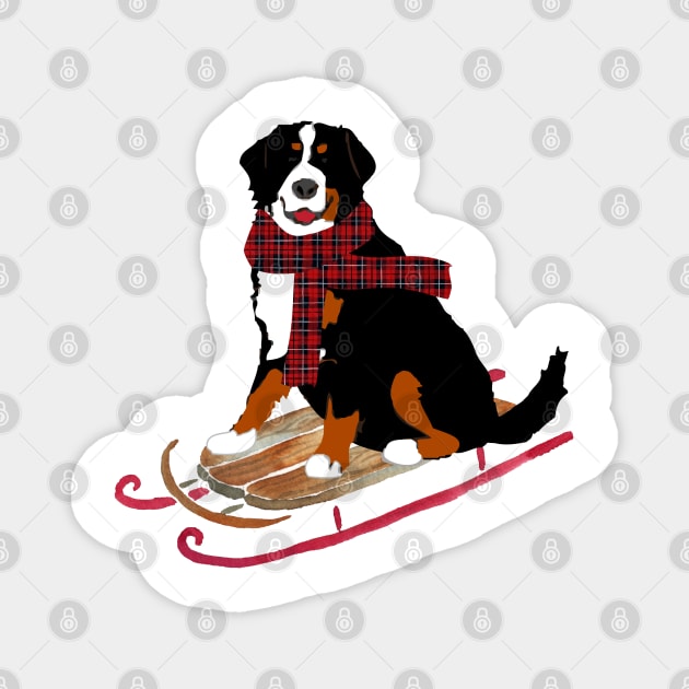 Bernese Mountain Dog Sledding Magnet by emrdesigns